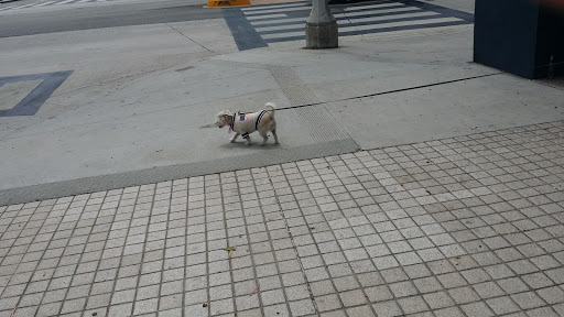 Pet Supply Store «Healthy Spot», reviews and photos, 1110 Wilshire Blvd, Santa Monica, CA 90401, USA