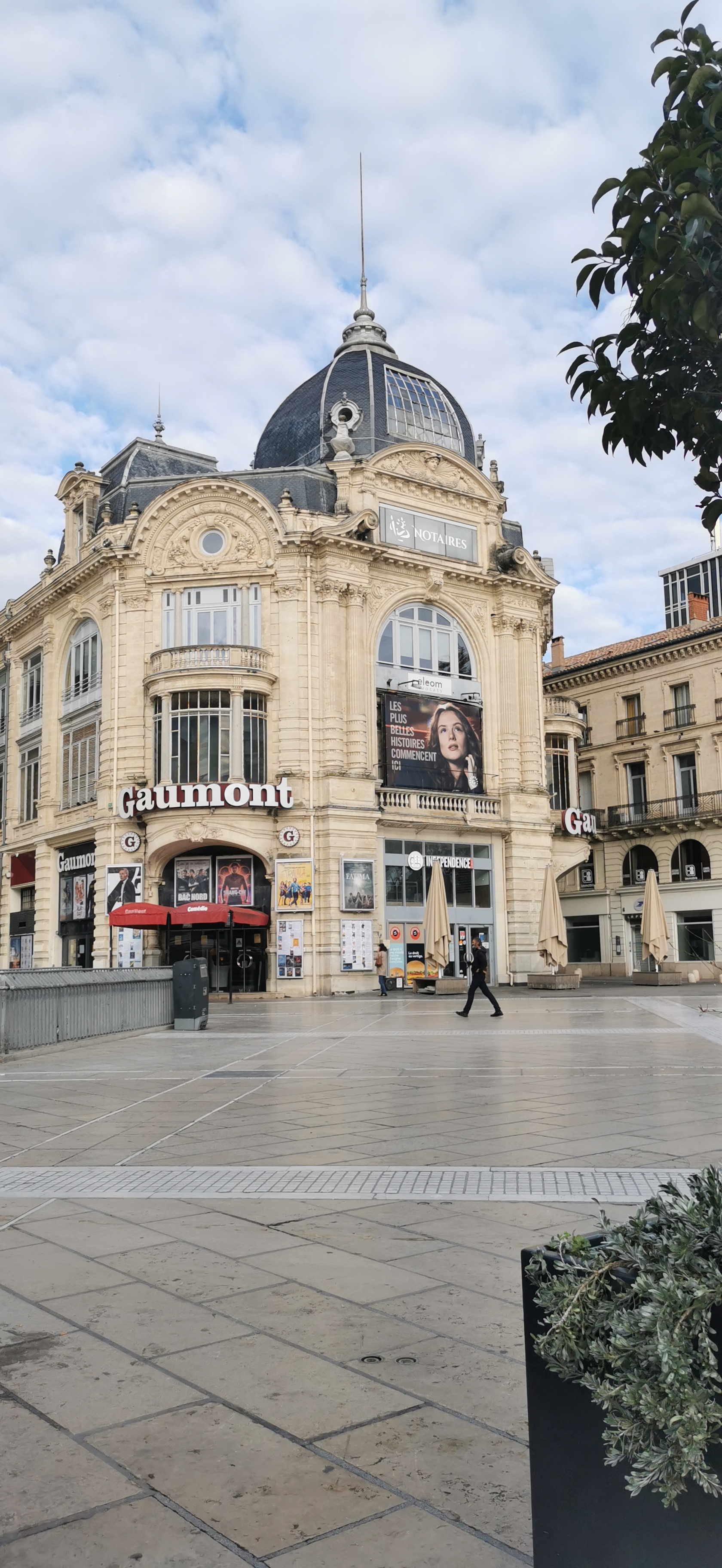 Photo n° 1 de l'avis de Papa.s fait le 11/10/2021 à 19:38