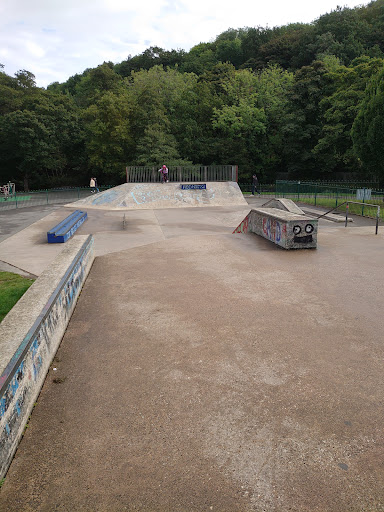 Millhouses Skate Park