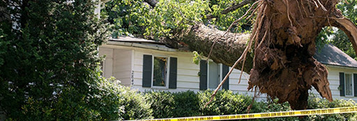 Cypress Custom Roofing & Restoration in Cypress, Texas