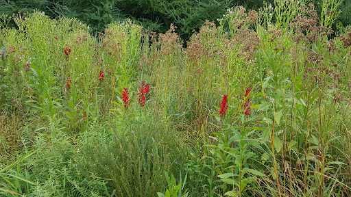 Non-Profit Organization «Aldo Leopold Nature Center», reviews and photos, 330 Femrite Dr, Madison, WI 53716, USA