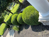 Royce's Landscaping Design - Photo 3 - Car repair in , Waldorf