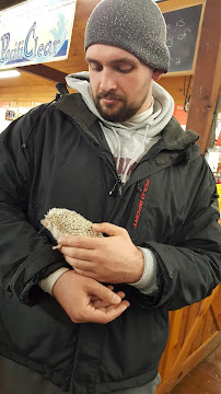 Mechanicville Country Living Center, Inc. - Photo 7 - Car repair in Mechanicville, NY, Albany