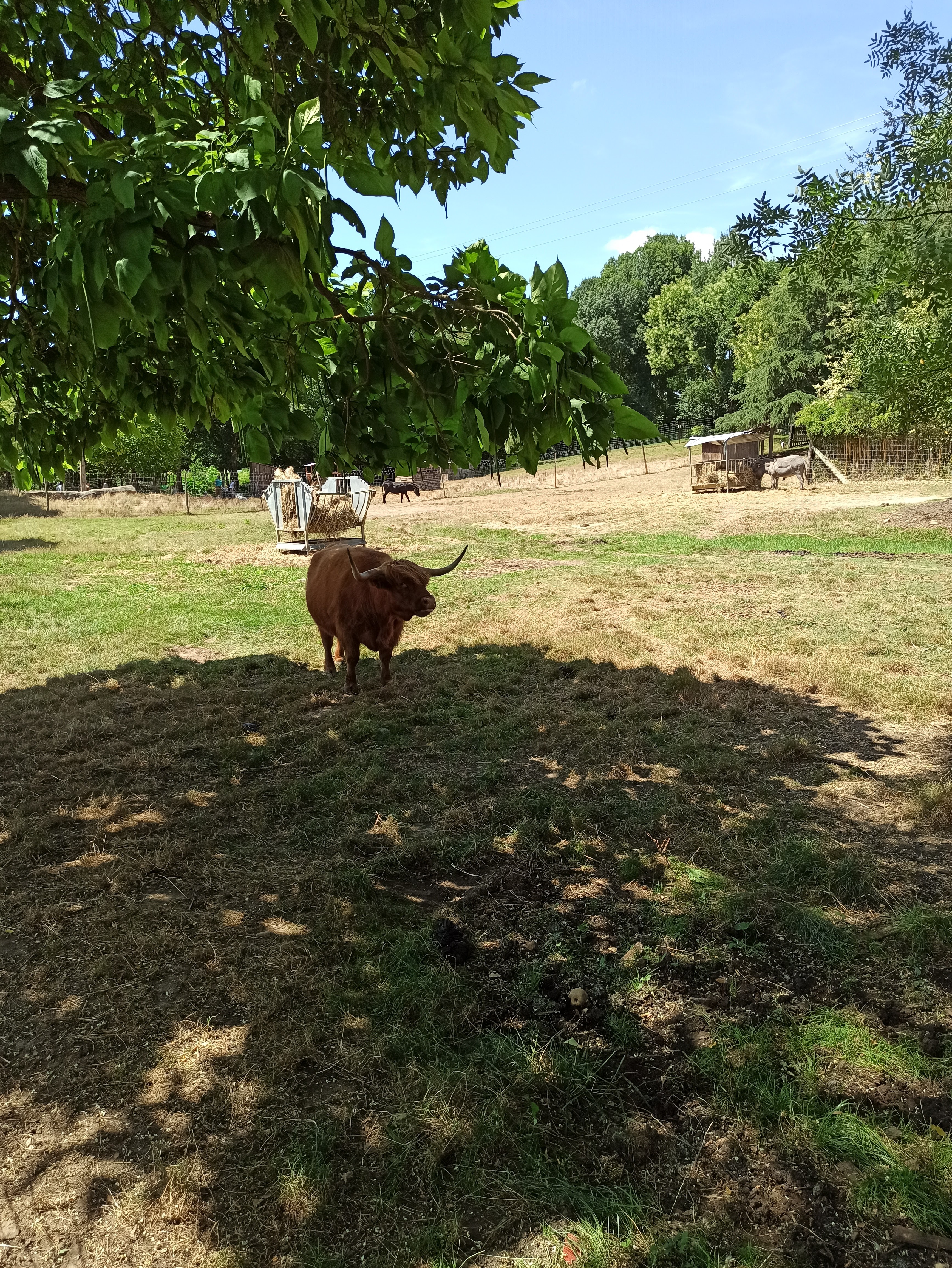 Photo n° 7 de l'avis de Didier.O fait le 30/07/2023 à 16:31