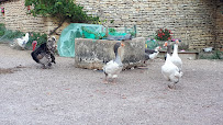 Photo n° 4 de l'avis de Michael Gauzentes fait le 02/09/2020