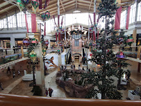 Apple Park Meadows - Photo 4 - Car repair in Lone Tree, CO, Centennial