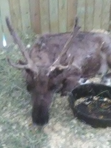 Historical Landmark «Grapevine Vintage Railroad», reviews and photos, 707 S Main St, Grapevine, TX 76051, USA