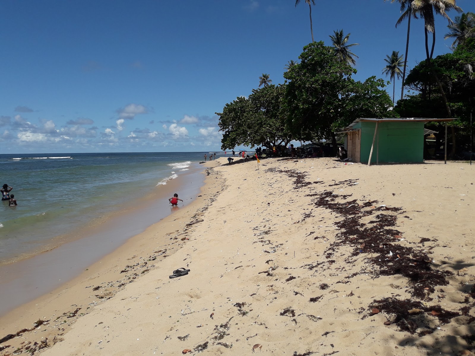 Foto di Salybia beach con costa lunga e dritta