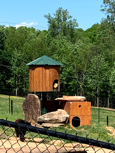 Zoo «Chestatee Wildlife Preserve & Zoo», reviews and photos, 469 Old Dahlonega Hwy, Dahlonega, GA 30533, USA