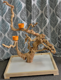 Feathered Follies - Photo 4 - Car repair in Concord, CA, Concord