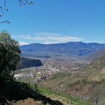 Photo n°4 de l'avis de Uta.. fait le 06/04/2023 à 06:41 sur le  Loosmann Hof Buschenschank à Ritten