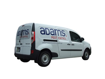 Adams Pest Control Melbourne - Pest control service