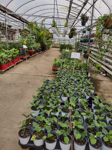 Plant Nursery «Blooming Acres», reviews and photos, 7561 State Rd, Wadsworth, OH 44281, USA