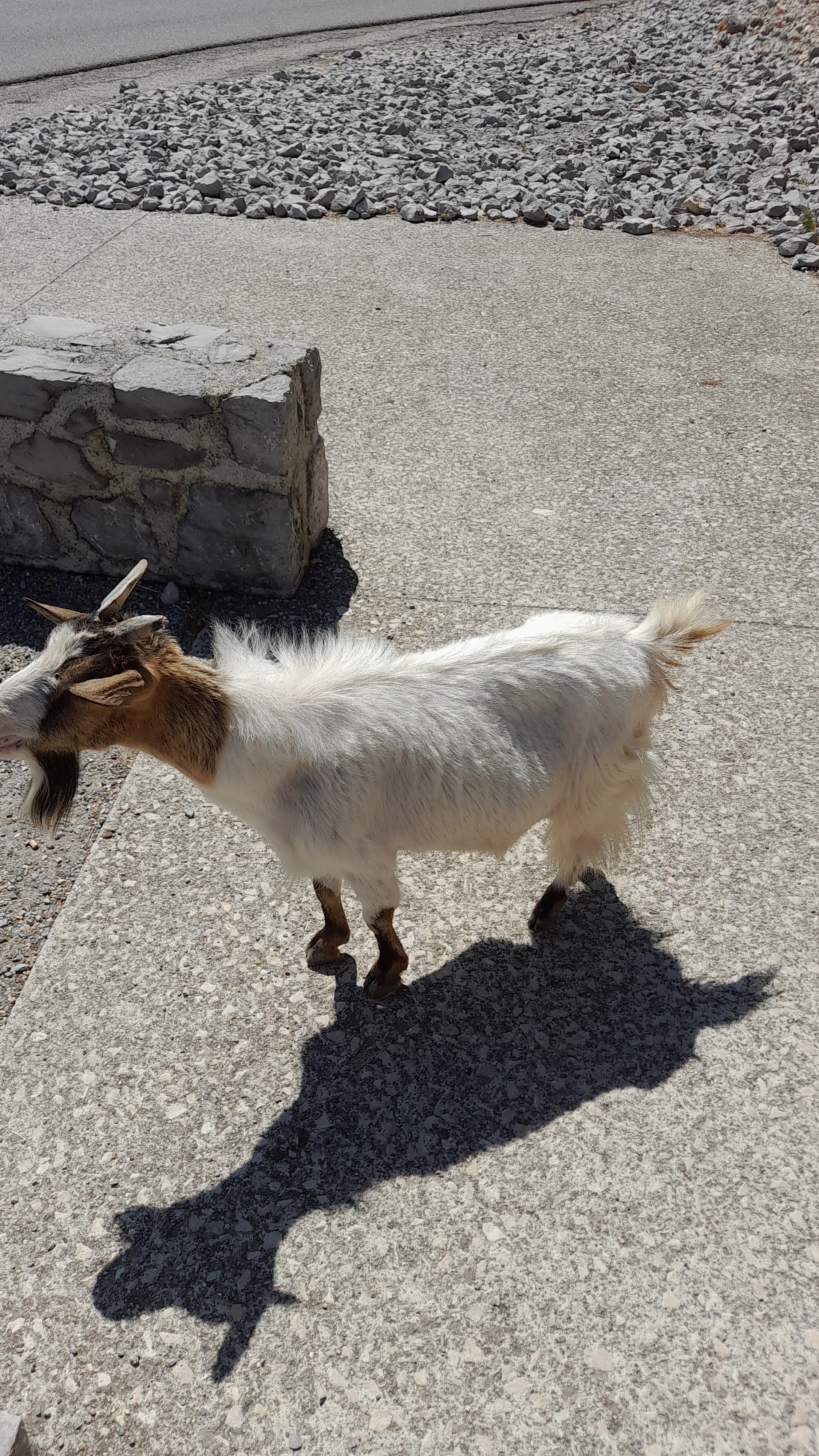 Photo n° 6 de l'avis de Fred. fait le 15/08/2023 à 15:47