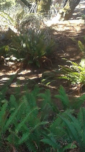 Country Club «Astoria Golf & Country Club», reviews and photos, 33445 Sunset Beach Rd, Warrenton, OR 97146, USA