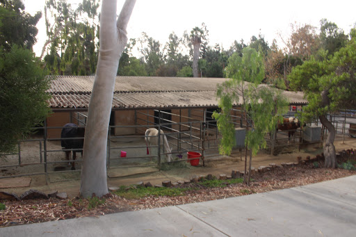 Stable Carlsbad