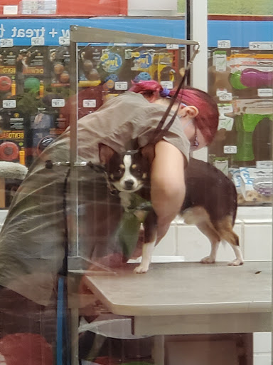 Pet Supply Store «Petco Animal Supplies», reviews and photos, 1415 E Warner Rd, Gilbert, AZ 85296, USA