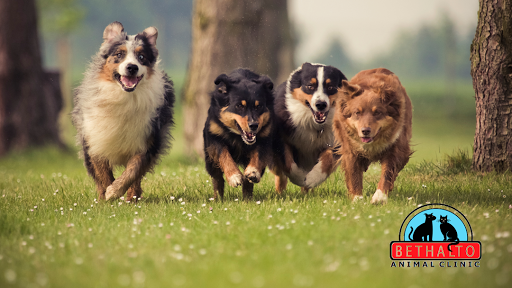 132 W Bethalto Blvd, Bethalto, IL 62010, USA