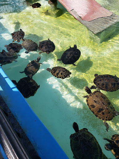 Water Park «Wild Water & Wheels», reviews and photos, 910 Highway 17 S, Surfside Beach, SC 29575, USA