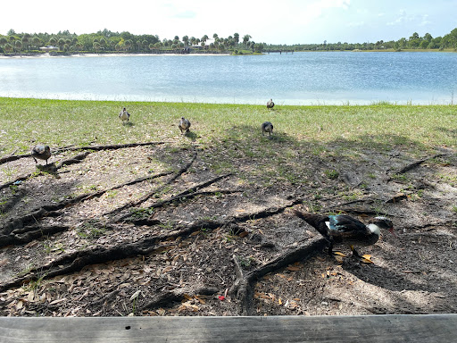 Park «Larry and Penny Thompson Park», reviews and photos, 12451 SW 184th St, Miami, FL 33177, USA