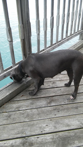 Marine Supply Store «West Marine», reviews and photos, 401 Michigan St, Algonac, MI 48001, USA