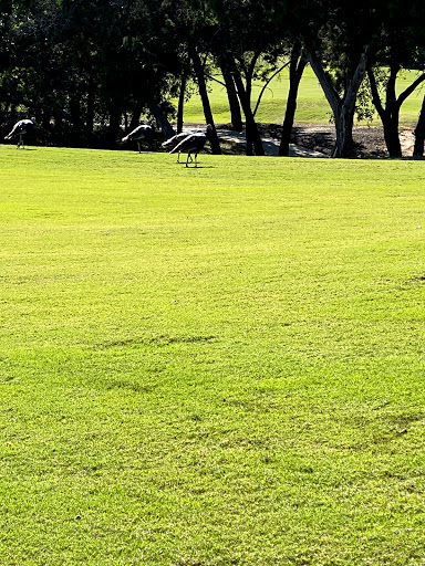 Public Golf Course «Palmer Course At La Cantera», reviews and photos, 17865 Babcock Rd, San Antonio, TX 78255, USA