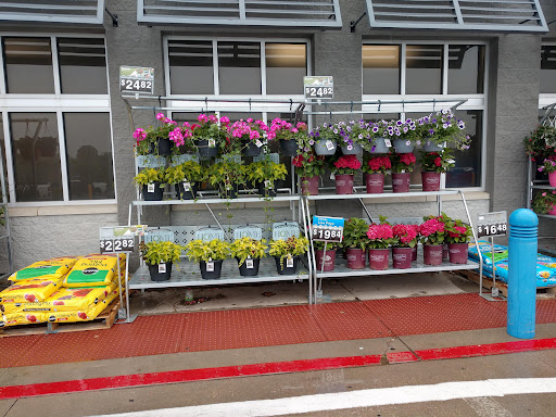 Department Store «Walmart Supercenter», reviews and photos, 1882 Holly St, Blair, NE 68008, USA