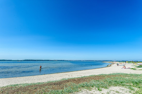Hundestrand Laboe