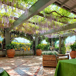 Photo n°3 de l'avis de Nina.t fait le 05/05/2022 à 11:30 sur le  Al Tram à Sarnico