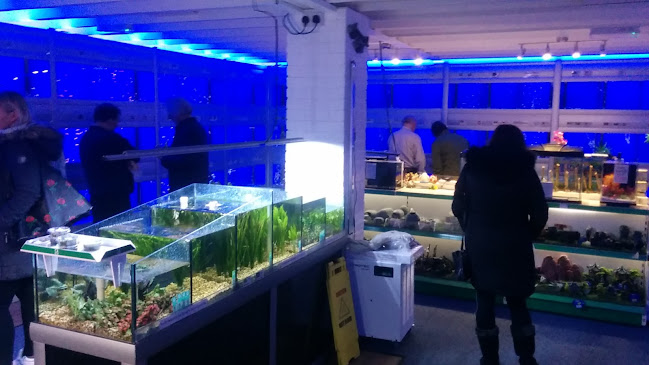 Reviews of Creature Comforts & Aquatic Centre in Southampton - Shop