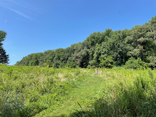 Park «Cromwell Valley Park», reviews and photos, 2002 Cromwell Bridge Rd, Parkville, MD 21234, USA