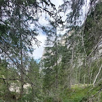 Photo n°22 de l'avis de Carmen.l fait le 11/07/2022 à 13:08 sur le  Tschamin Schwaige à Tiers