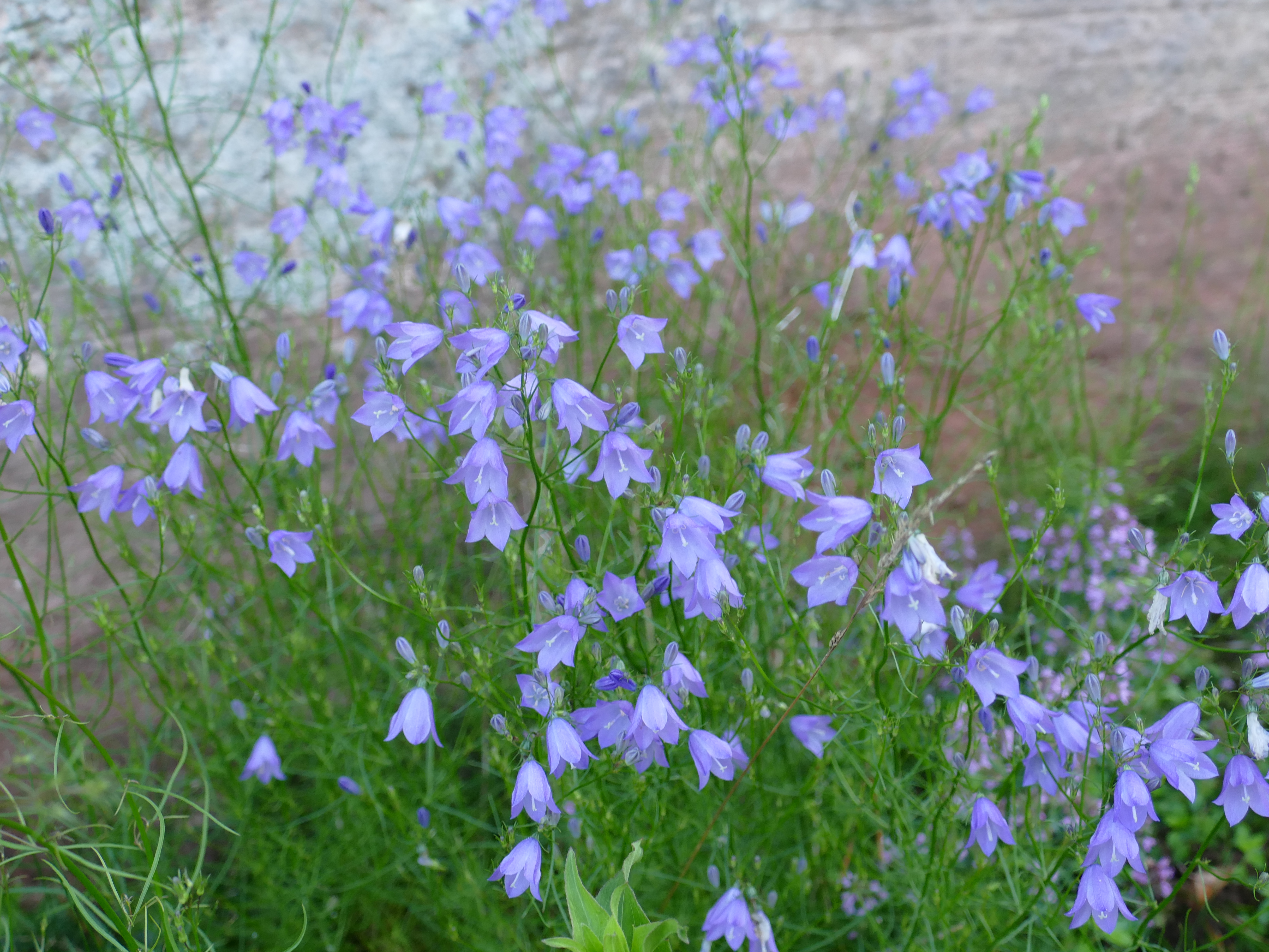 Photo n° 6 de l'avis de Jana.r fait le 26/07/2021 à 08:48