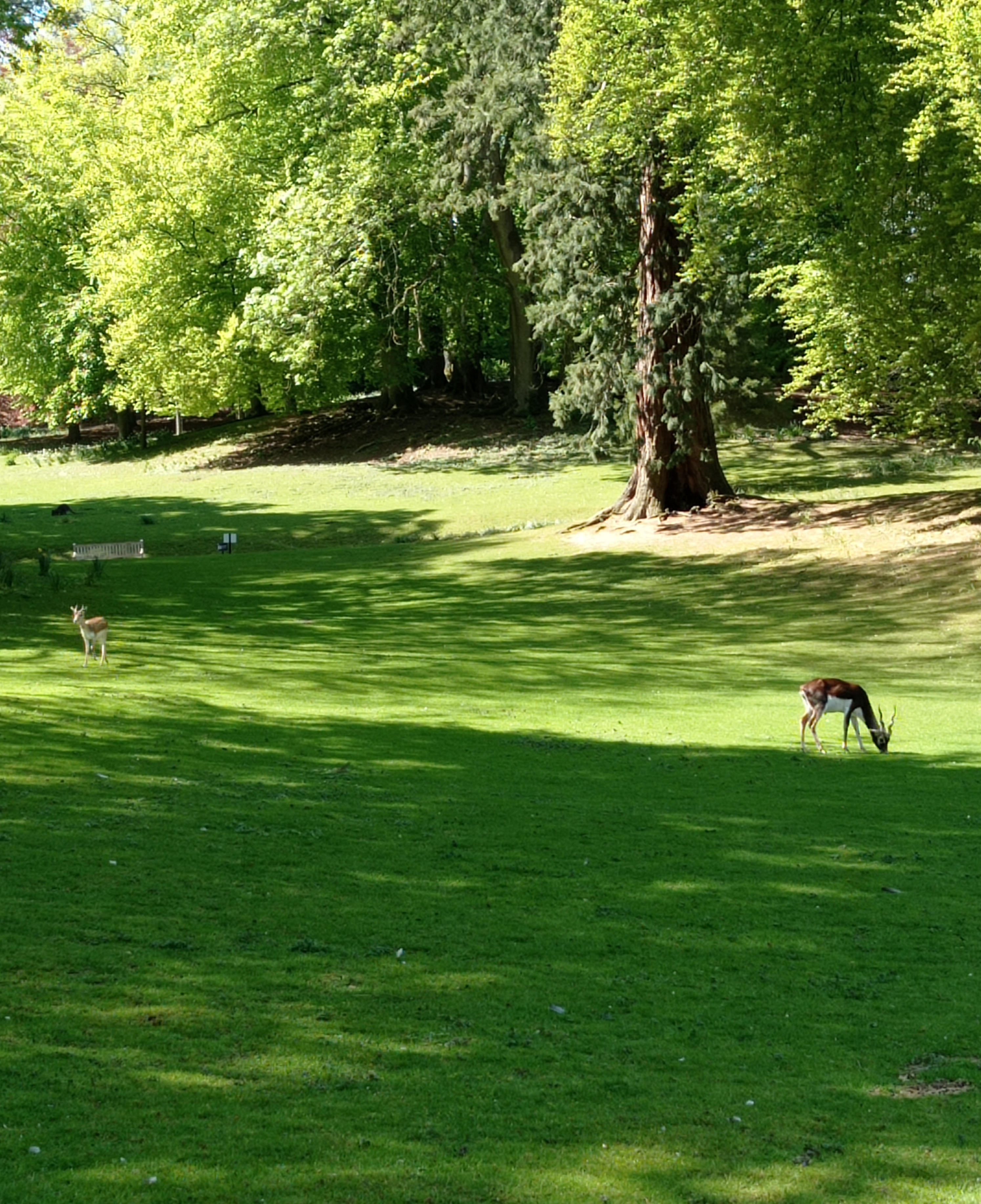 Photo n° 5 de l'avis de Louise.i fait le 04/05/2023 à 17:23