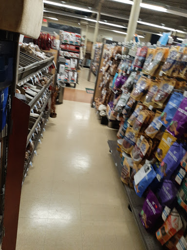 Pet Supply Store «Petco Animal Supplies», reviews and photos, 8500 Henry Ave #10, Philadelphia, PA 19128, USA