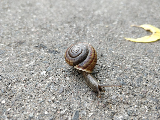 Park «French Regional Park», reviews and photos, 12605 Rockford Rd, Plymouth, MN 55441, USA