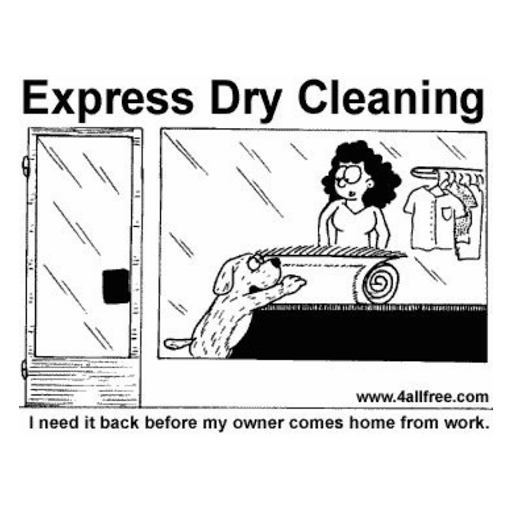 Dry Cleaner «American Cleaners», reviews and photos, 360 NY-211, Middletown, NY 10940, USA