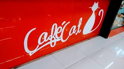 Photos of Caf&eacute; Cat