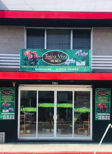 TERRA VIVA HUMUS TUXTLA (Florería)