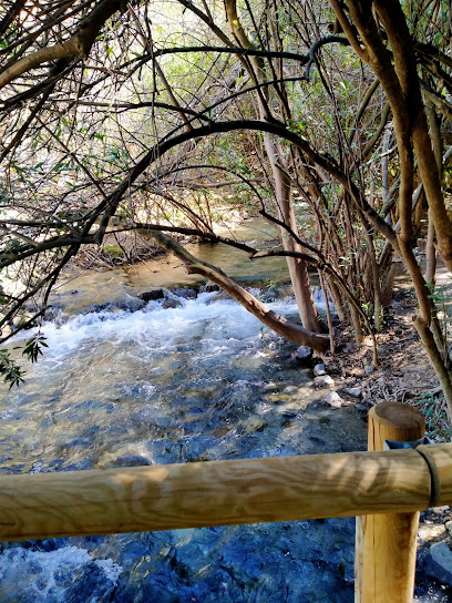 Río – Río Bedmar – Albanchez de Mágina