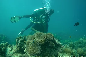 United Scuba Dive Centre image