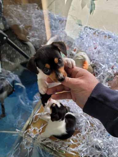 Pet Store «V.I. Pets», reviews and photos, 11975 E Lakewood Blvd, Holland, MI 49424, USA