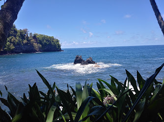 Hilo Forest Reserve (Kama‘e‘e Sec.)