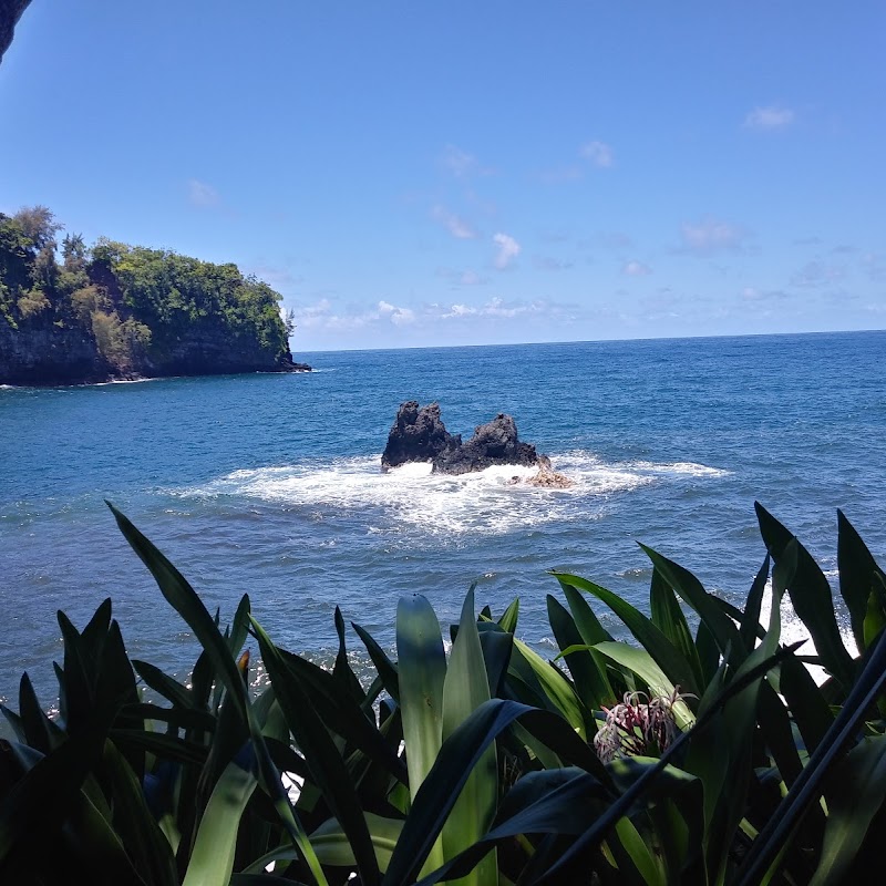 Hilo Forest Reserve (Kama‘e‘e Sec.)