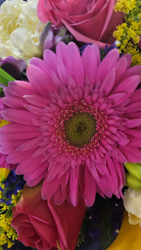 Supermarket «Giant Eagle Supermarket», reviews and photos, 3841 S Hamilton Rd, Groveport, OH 43125, USA