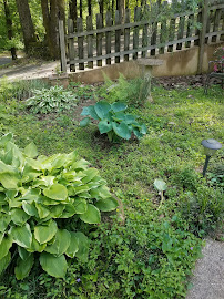 Town & Country Grounds Care - Photo 3 - Car repair in , Birmingham