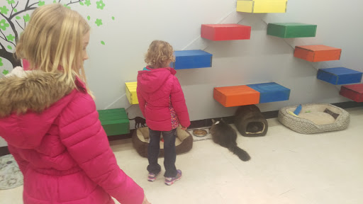 Pet Supply Store «Pet Supplies Plus», reviews and photos, 1170 Walton Blvd, Rochester Hills, MI 48307, USA