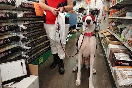 Pet Supply Store «Atlas Pet Supply», reviews and photos, 17375 US-10, Elk River, MN 55330, USA