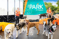 Dogtopia of Tempe - Photo 2 - Car repair in Tempe, AZ, Tempe