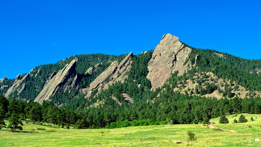 American Rooter in Boulder, Colorado